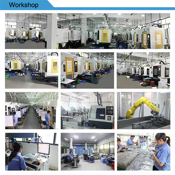 จีน Xinshizhan Precision Co., Ltd. รายละเอียด บริษัท